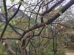 -秦岭终南山世界地质公园翠华山景区