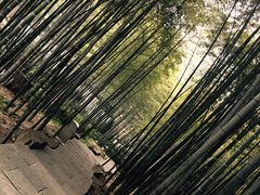 -杭州黄龙洞