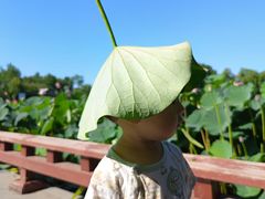 -云居湖