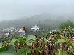 -猫的天空之城概念书店(杭州南宋御街店)