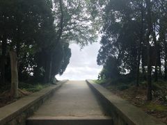 -青龙山公园