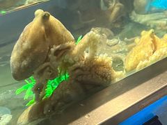 -V-ONE西雅图海鲜自助餐厅(仓山万达广场店)