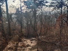 -沈阳辉山风景区