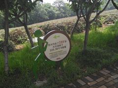 -南京市江宁方山