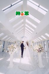 -红丝高端婚礼中心(旗舰店)