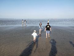 -南汇嘴观海公园