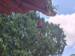 -报恩寺(平武县)