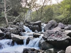 -宁波五龙潭景区