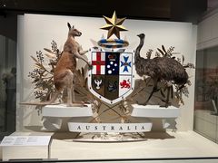-墨尔本博物馆(Melbourne Museum)