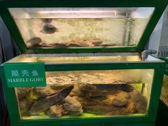 -無招牌海鮮(芽笼店)