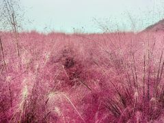 -昆嵛山石门里景区