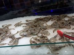 -鑫海汇海鲜烤肉火锅自助(七彩城店)