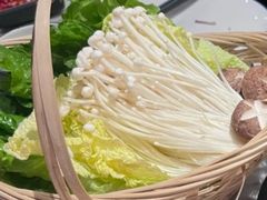 -同仁四季椰子鸡(福田东园总店)