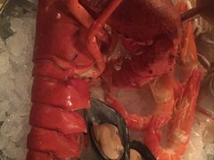 -斯普汇生蚝牛排馆(中骏世界城店)