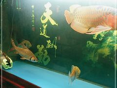-弘善堂推拿调理