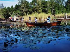 -溱湖国家湿地公园