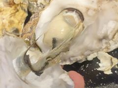 -蚝婆海鲜烧烤(莆田旗舰店)
