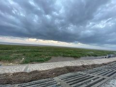 -南汇嘴观海公园