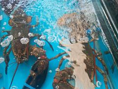 -重振华中蔬菜批发市场(重庆中路店)