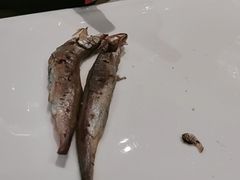 -金河半岛园林酒家(金融城店)