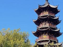 -龙华素斋(龙华路店)