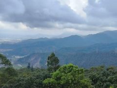 -水濂山森林公园