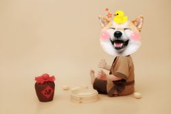 -巴黎Paris baby儿童摄影(宝山万达店)