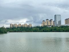-洛龙公园