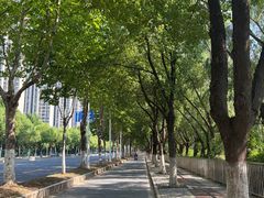 -东南大学(九龙湖校区)