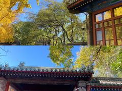 -北京国子监胡同
