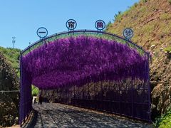 -桑干河大峡谷旅游区