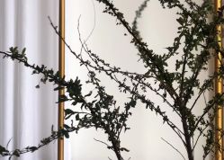 -Dr.U博士医疗美容医院