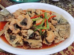 -柳饮·春柳酒家