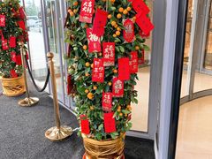 -彩丰楼·中餐厅(国家会展中心上海洲际店)