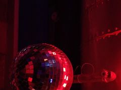 -Darling Queen·Mini·Live·House
