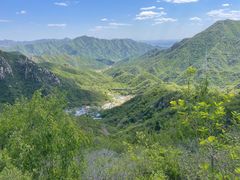 -大岭沟猕猴桃谷风景区