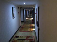 -金紫薇酒店(成都春熙路步行街店)