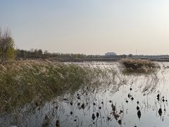 -天津东丽湖风景区