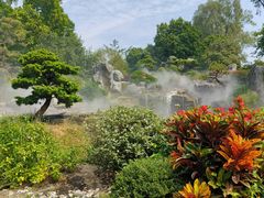 -东莞植物园
