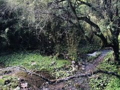 -硗碛藏寨·神木垒景区