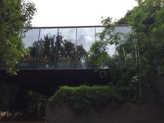 -七仙岭君澜度假酒店·桃源小馆中餐厅