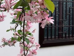 -莫愁湖公园