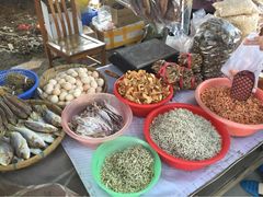 iphone_upload_pic-海鸥岛