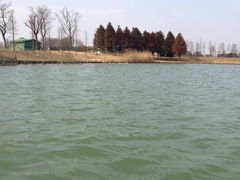 iphone_upload_pic-苏州太湖国家湿地公园