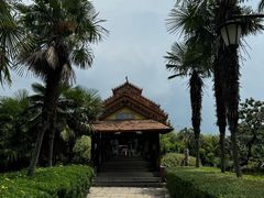 -云南民族村
