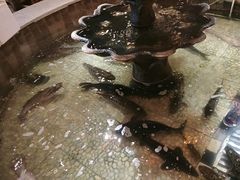 -万里闯关东铁锅炖菜馆(高新旗舰店)