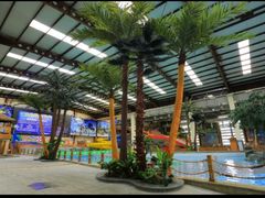 -南宫温泉水世界