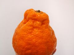-大连理工大学中心-食堂