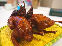 -五谷芳乳鸽王(梅沙老店)