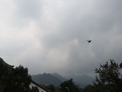 -北京鹫峰国家森林公园